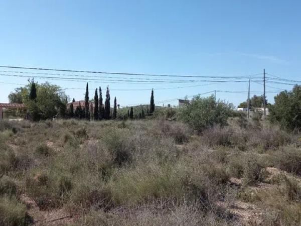 Terreno en Novelda