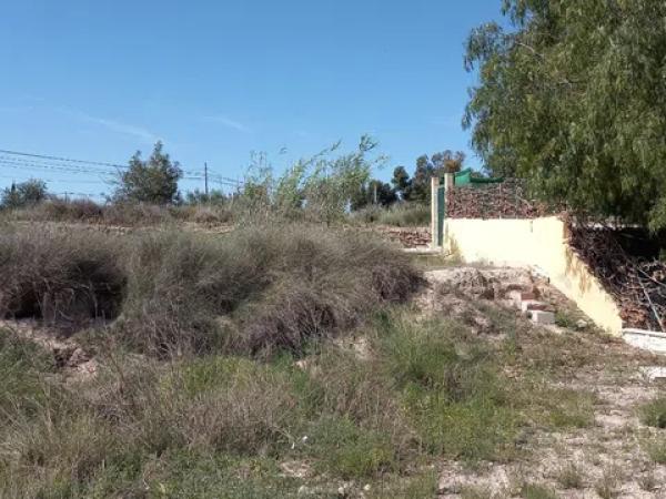 Terreno en Novelda