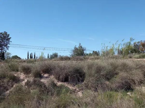 Terreno en Novelda