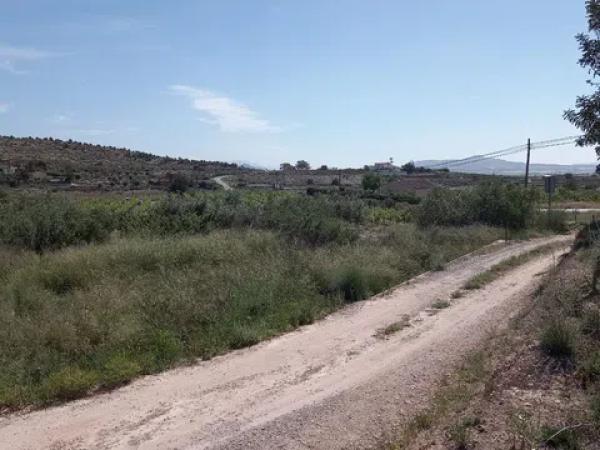 Terreno en Novelda