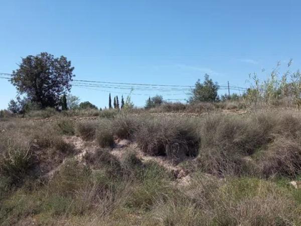 Terreno en Novelda