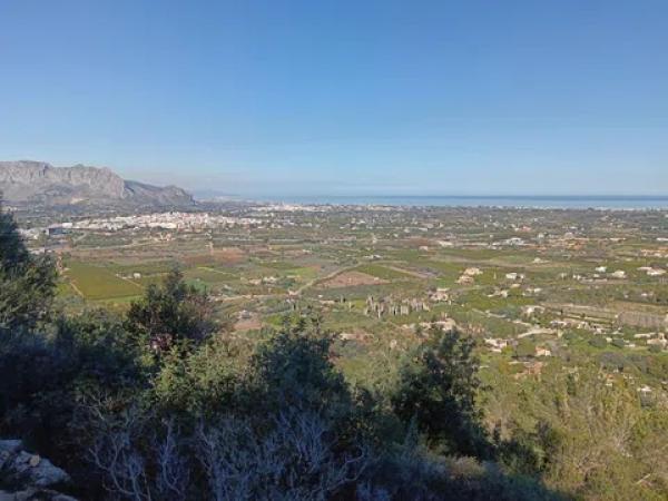 Terreno en Pedreguer