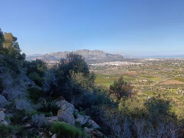 Terreno en Pedreguer