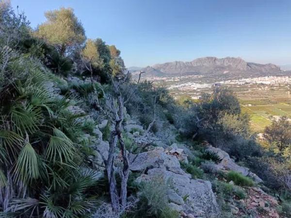 Terreno en Pedreguer