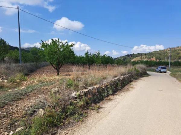 Terreno en Partida de Purgateros, 30