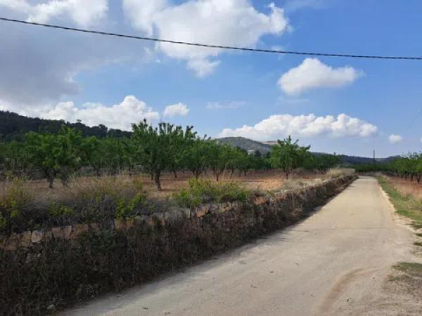 Terreno en Partida de Purgateros, 30