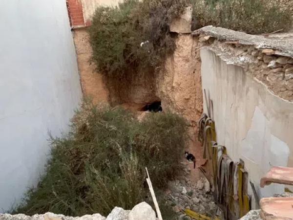 Terreno en Crevillente