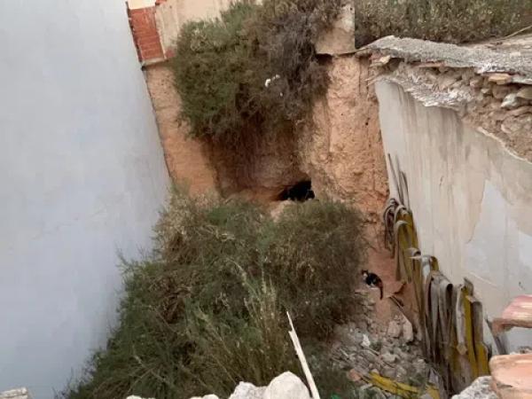 Terreno en Crevillente