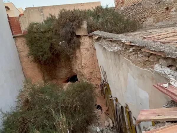 Terreno en Crevillente