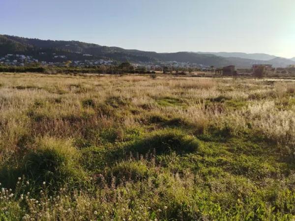 Terreno en Cv-731, km 2