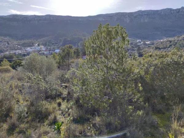 Terreno en Vall de Gallinera