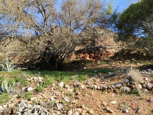 Terreno en Vall de Gallinera