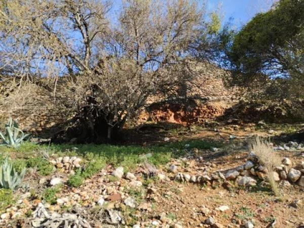 Terreno en Vall de Gallinera