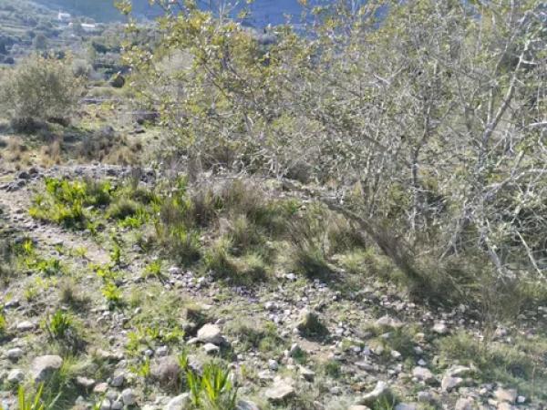 Terreno en Vall de Gallinera