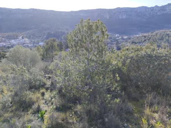 Terreno en Vall de Gallinera