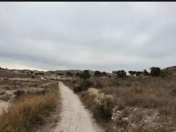 Terreno en calle haya s/n