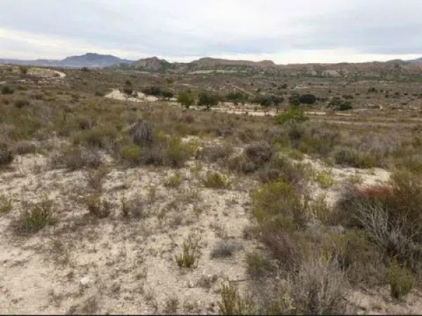 Terreno en calle haya s/n