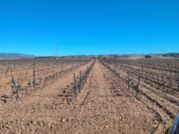 Terreno en via Sense Nom s/n