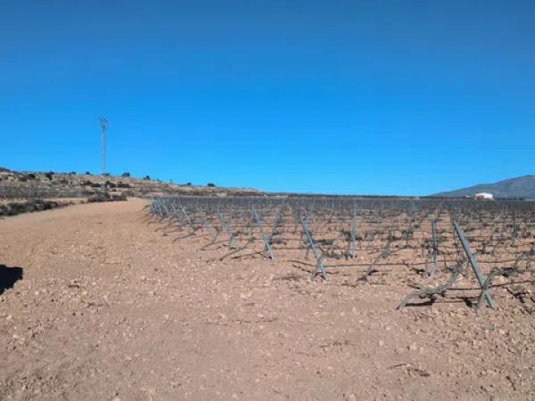 Terreno en via Sense Nom s/n