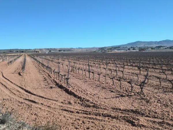 Terreno en via Sense Nom s/n