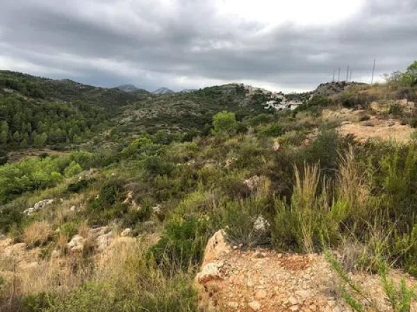 Terreno en plaza Sa U6 Sector 7