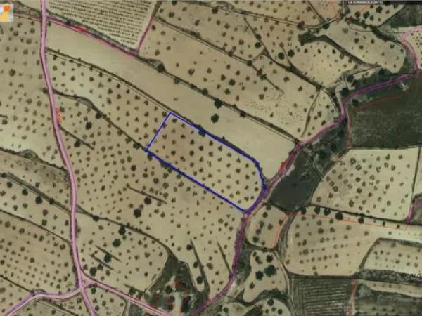 Terreno en via sense nom