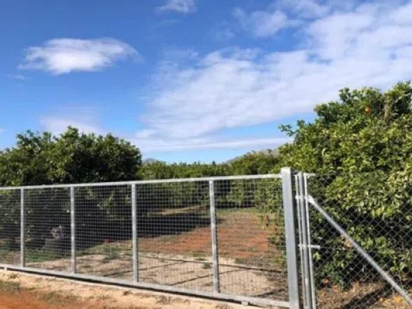 Terreno en Pamis s/n