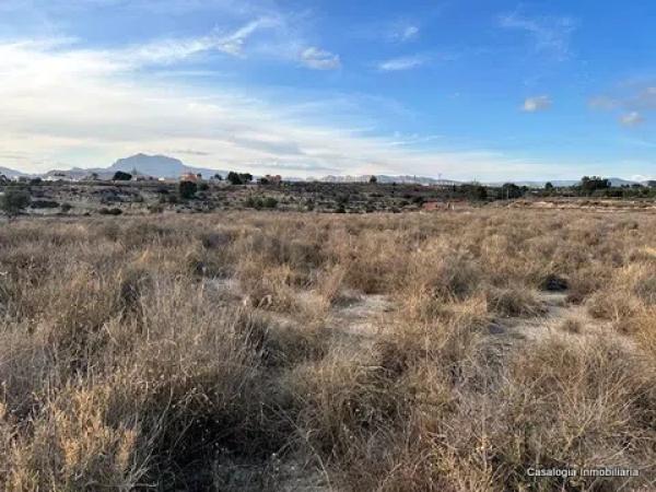 Terreno en calle Collao