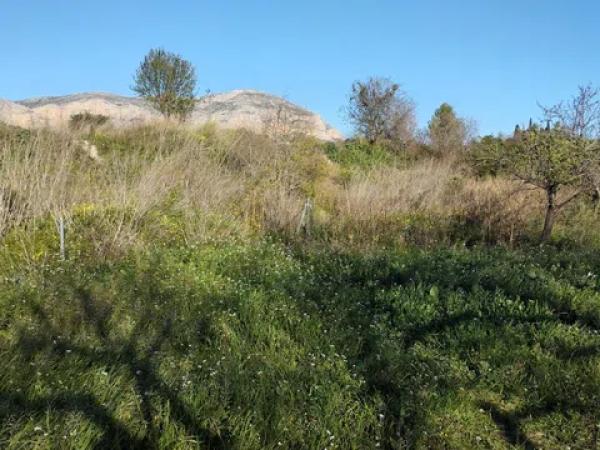 Terreno en calle Senija. Partida Gaià s/n Sn