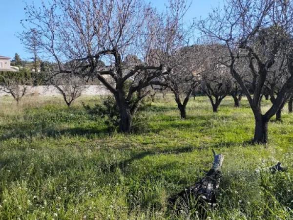 Terreno en calle Senija. Partida Gaià s/n Sn