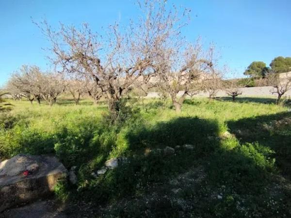 Terreno en calle Senija. Partida Gaià s/n Sn