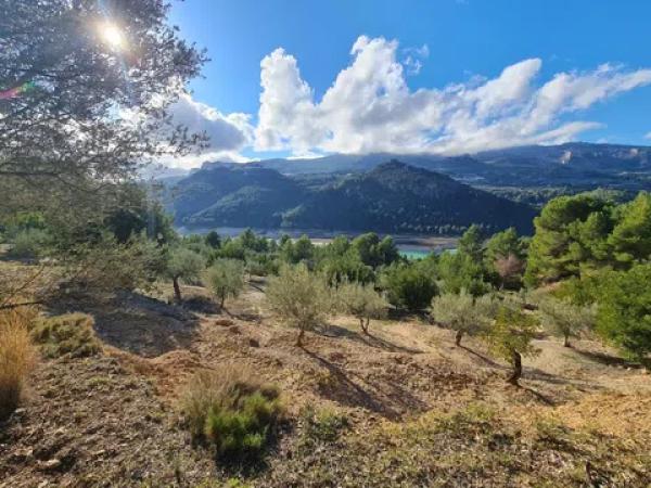 Terreno en Solana s/n