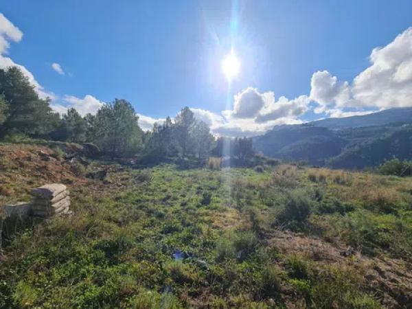 Terreno en Solana s/n