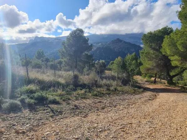 Terreno en Solana s/n