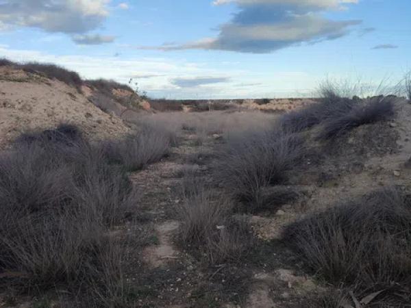 Terreno en Partida Rafaela