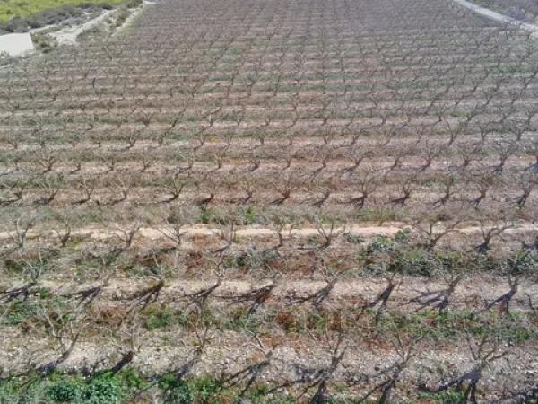 Terreno en Partida del Moco s/n