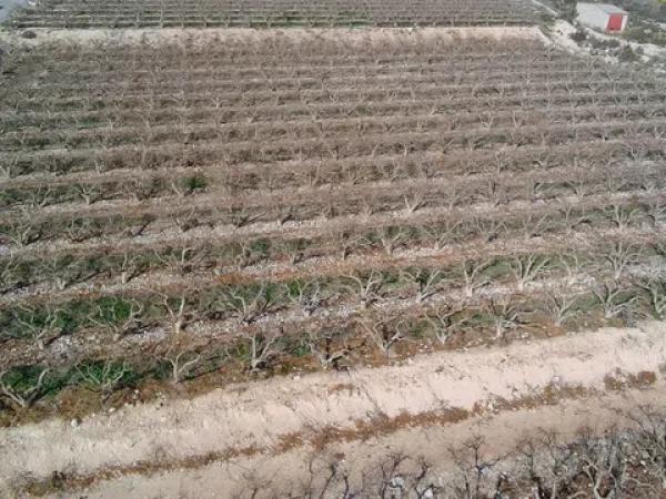 Terreno en Partida del Moco s/n