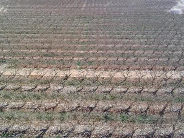 Terreno en Partida del Moco s/n