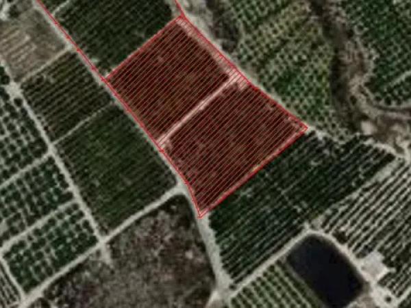 Terreno en Partida del Moco s/n