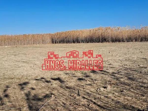 Terreno en La Marina