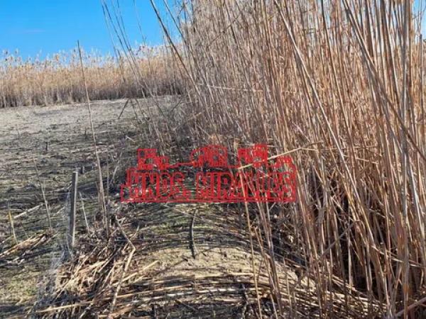 Terreno en La Marina