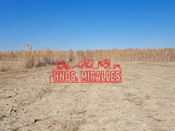 Terreno en La Marina