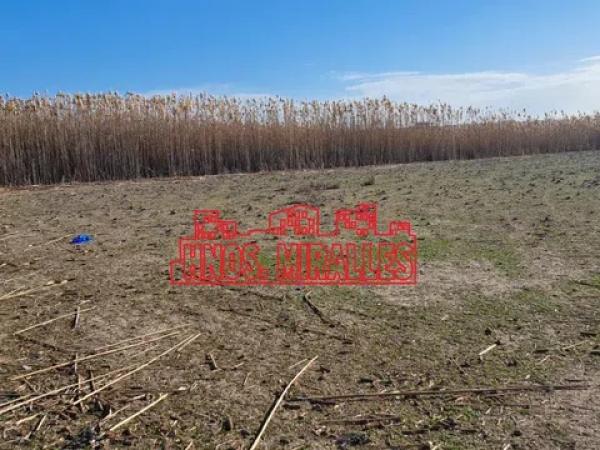 Terreno en La Marina