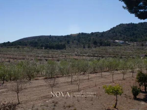 Terreno en Finca Beties s/n