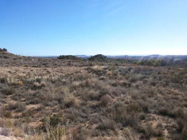Terreno en camino del Sarnatxo, km 3