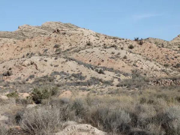 Terreno en camino del Sarnatxo, km 3