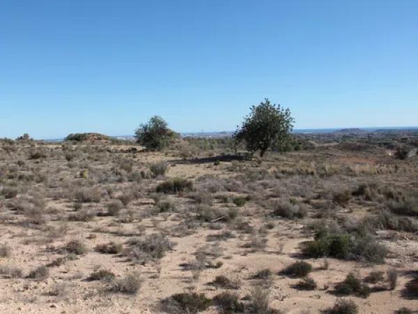 Terreno en camino del Sarnatxo, km 3