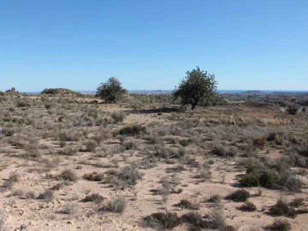 Terreno en camino del Sarnatxo, km 3