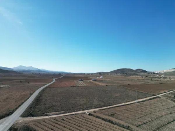 Terreno en pinoso s/n