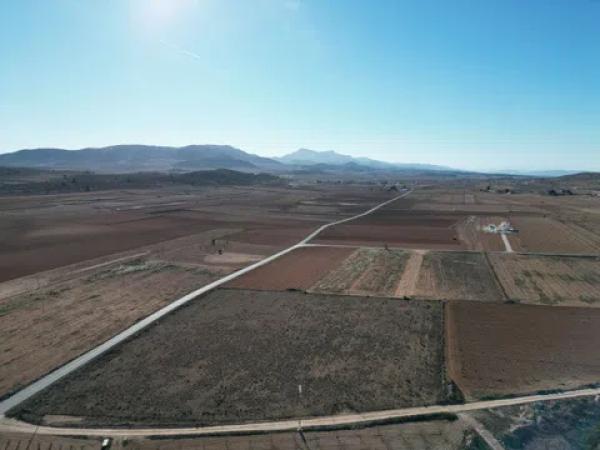 Terreno en pinoso s/n